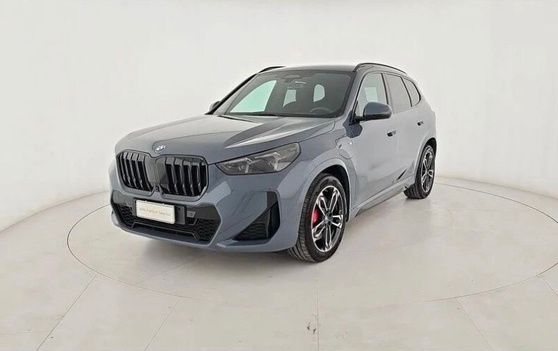 BMW X1            (U11)
