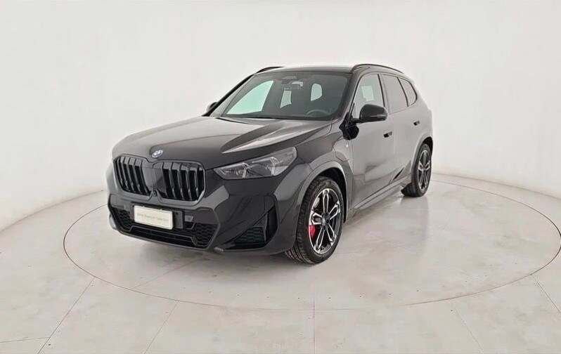 BMW X1            (U11)