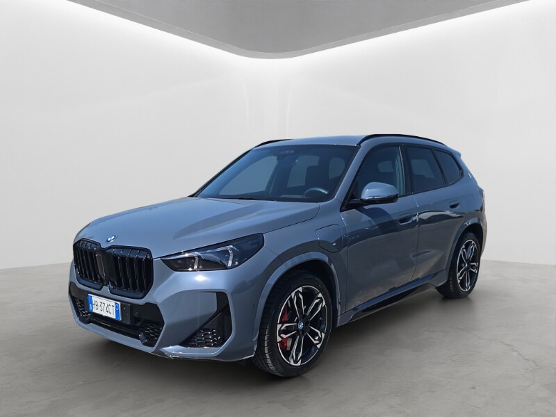 BMW X1            (U11)