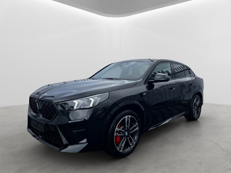 BMW X2            (U10)