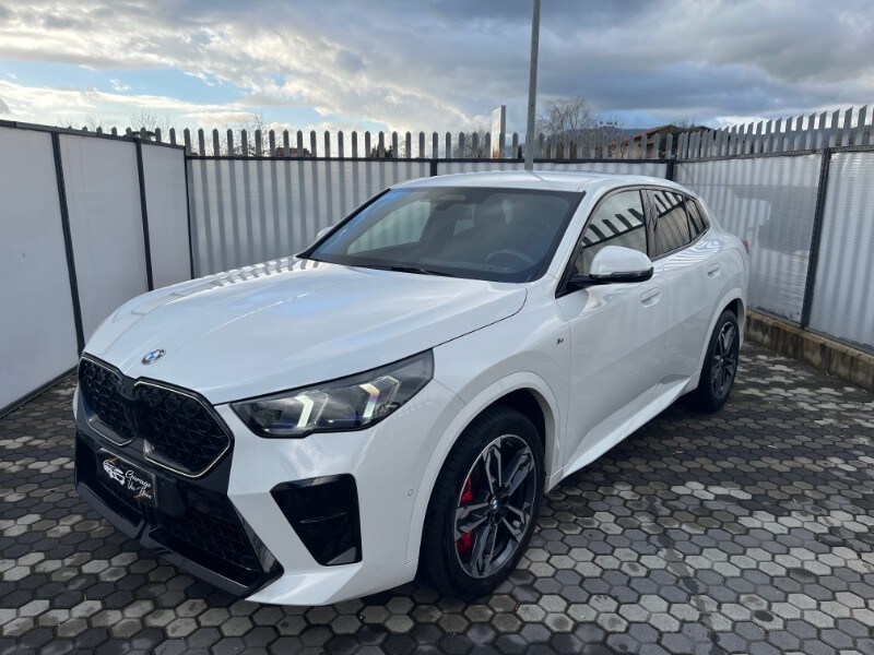 BMW X2            (U10)