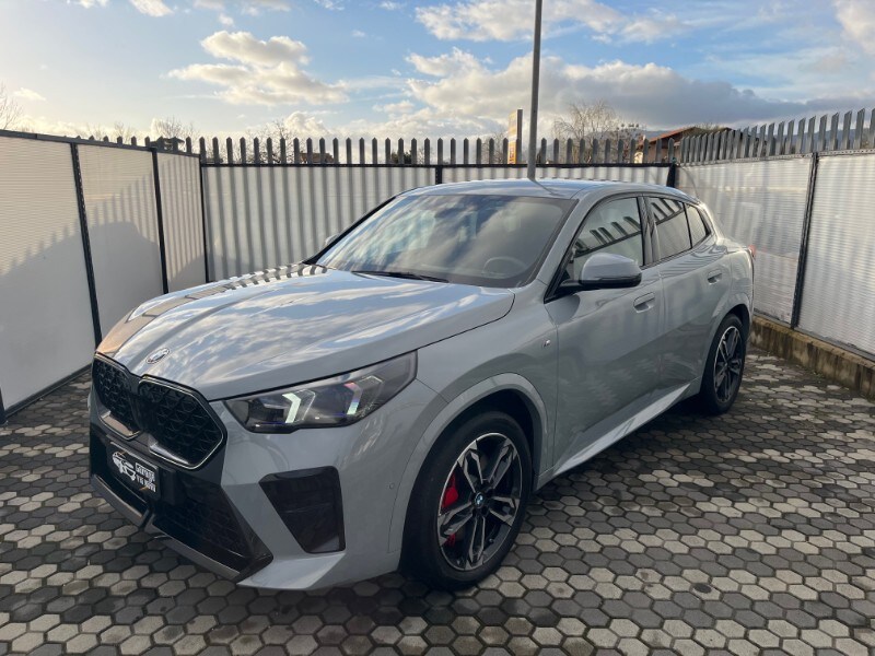 BMW X2            (U10)
