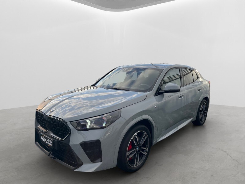 BMW X2            (U10)
