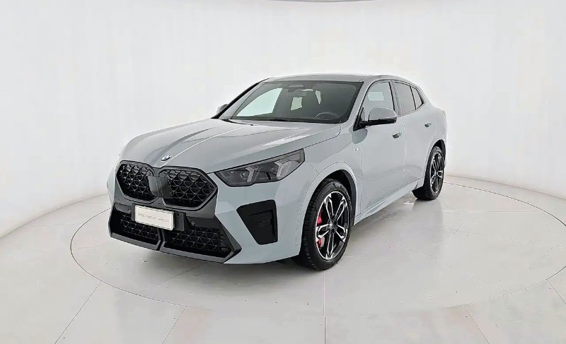 BMW X2            (U10)